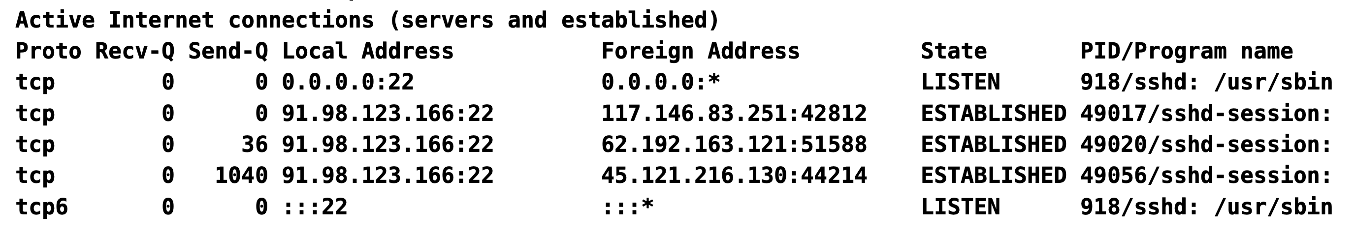 netstat output